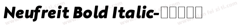 Neufreit Bold Italic字体转换